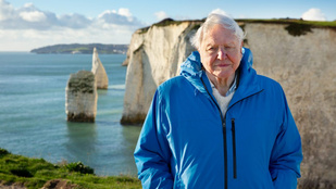 Sir David Attenborough 99 évesen pályafutása legfontosabb üzenetét adja át