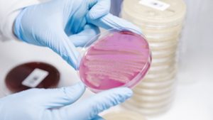 Milliókat ölhetnek meg szuperbaktériumok, ráadásul sokba is kerülnek
