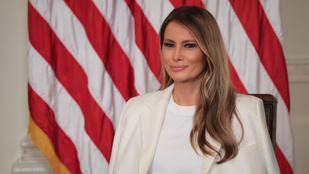 Melania Trumpról neveznék el az amerikai kultúra ikonikus intézményét