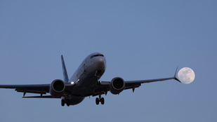 Szarvasokkal ütközött egy repülőgép Alaszkában