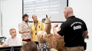 Nem csitul a törökbálinti lámabotrány, valami nem stimmel a bérleti díjjal