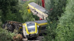 A mozdonyvezetők rémálma a vonattípus, amelyik a halálos balesetben vett részt