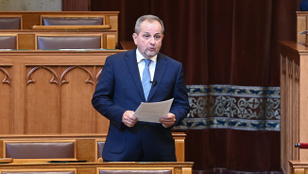 Budai Gyula meglehetősen furcsa stílusban üzent Majkának