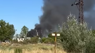 Tűz ütött ki egy ceglédi telephelyen, több jármű lángra kapott