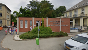 Kétperces beszélgetés miatt kellett csaknem kilenc órát várnia a rákbetegnek egy magyar kórházban