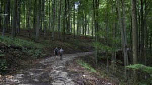 Dermesztő, fagypont alatti hideget mértek a Bükkben