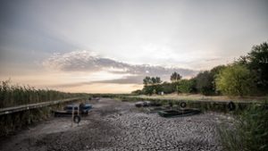 Megérezzük a jövő aranyának hiányát – terméskiesés, infláció, elvándorlás