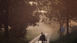 Van egy vallási közösség, amelynek tagjai hírből sem ismerik az allergiát