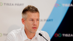 Magyar Péter: Az a meglátásom, hogy a kormány bedobta a törölközőt