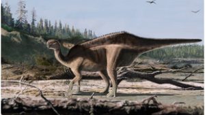 Új dinoszauruszfajt fedeztek fel a tudósok