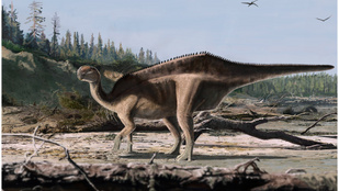 Új dinoszauruszfajt fedeztek fel a tudósok
