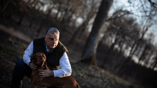Évek óta nem volt ilyen, ezt a törvényt kétszer is üdvözölte Orbán Viktor a Facebookon
