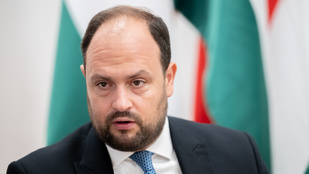 Százezer forint jár a magyar gyerekeknek, de nem mindenki örül ennek