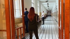 Felháborodott az ügyészség döntésén az MKSZ elnöke – szerinte súlyosabb büntetést érdemel az Árpád hídi gázoló