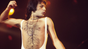 A nap, amikor Freddie Mercury kimentett a medencéből