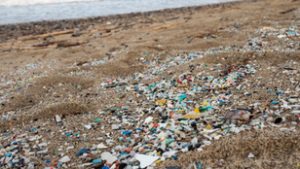 Láthatatlan betolakodók veszélyeztetik a magzatokat az anyaméhben