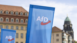 Sorozatban halnak meg az AfD jelöltjei a német önkormányzati választások előtt