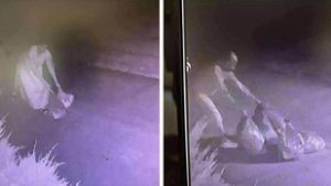 Akcióba lendült a polgármester, személyesen vitte vissza az illegálisan lerakott szemetet annak tulajdonosához