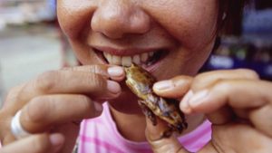 Ismerje meg a legújabb globális konteót, a rovarevés összeesküvés-elméletet