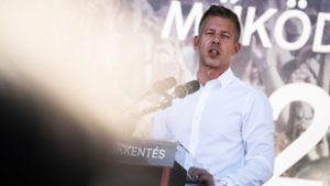 Magyar Péter felfedte, honnan származnak a Facebookon írt hozzászólásai