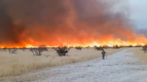 Tűzvész tombol Namíbia legismertebb nemzeti parkjában, több tízezer állat élőhelye van veszélyben