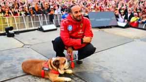Szomorú hírt közölt Lewis Hamilton, elvesztette a legjobb barátját