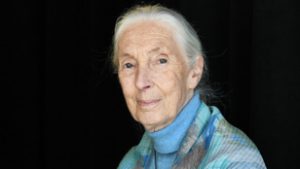 Meghalt Jane Goodall