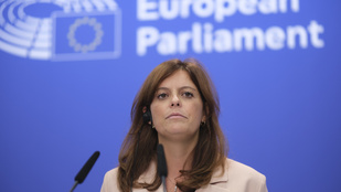Felfüggeszthetik Ilaria Salis mentelmi jogát