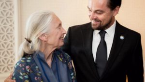 Jane Goodall, a földre szállt angyal utolsó szavai