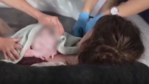 Élőben láthatta az egész világ, ahogy egy streamer megszülte gyermekét