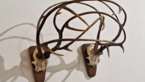 Tehénfej, kikukázott sörösdoboz, 27 Túró Rudi – dübörög a képzőművészet a Belvárosban