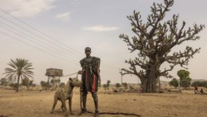 A mi természetünk legjobb fotói