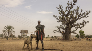 A mi természetünk legjobb fotói