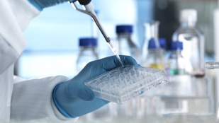 Felfedezték a víz új halmazállapotát, szobahőmérsékleten jég lett belőle