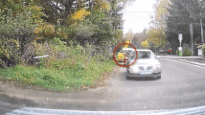 Bokorba csapódott egy autó Kismarosnál, hirtelen fékezett az előtte lévő