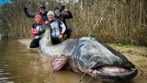 Gigantikus szörnyeteg akadt horogra Lengyelországban