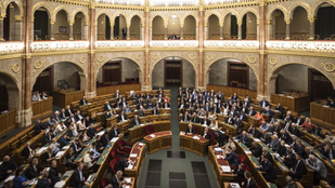 Elfogadták a lex Ruszin-Szendit, változás jöhet a fegyverviselésben