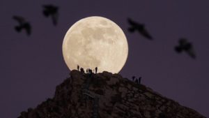 Veszélyben a magyar daganatos betegek a germán gyógytudomány miatt