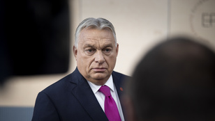 Orbán Viktor: Hajrá, lilák!