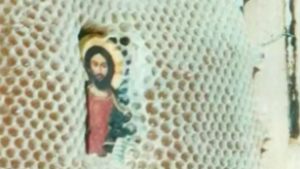 A méhek, akik felismerik a szenteket – évek óta megfejthetetlen a kaptárak titka Görögországban