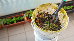 Úgy látszik, jól benne vagyunk a komposztban