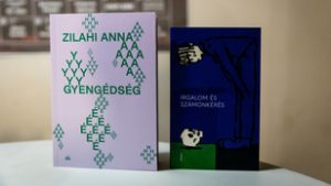 Versben nem lehet büntetlenül leírni, hogy Fidesz