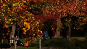 Visszatér a nyugodt őszi időjárás, lassan búcsút mondhatunk a fronthatásnak