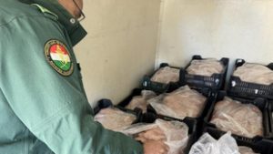 Több mint nyolcszáz kiló romlott csirkét foglalt le a NAV