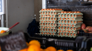 Hiába az árrésstop, egekbe szökött a tojás ára, és még nincs vége