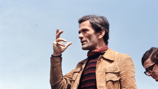 „Mindannyian veszélyben vagyunk” – nyilatkozta Pasolini, másnap brutálisan meggyilkolták