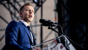 Magyar Péter közzétette a Nemzet Hangja szavazásának az eredményeit