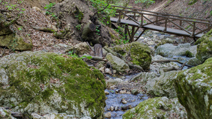 Könnyen teljesíthető, mégis látványos túraútvonalat keres? Mutatunk egyet.