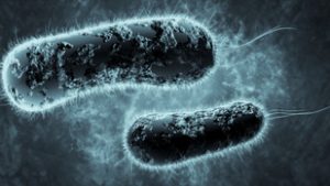 50 éve ismerik, de csak most döbbentek rá a vegyület gyógyerejére