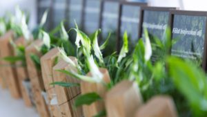 Mivel nyertek a Föld bajnokai?